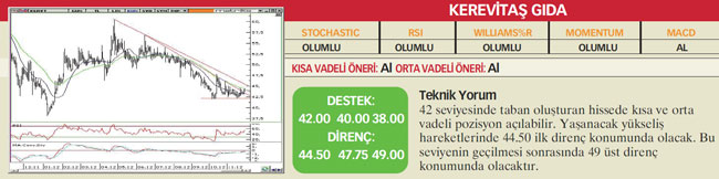 22 hisselik teknik analiz