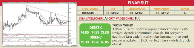 22 hisselik teknik analiz