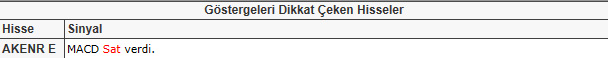 Dikkat çeken hisseler