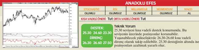 22 hisselik teknik analiz