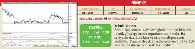 22 hisselik teknik analiz