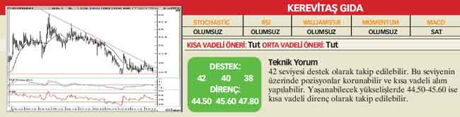 22 hisselik teknik analiz