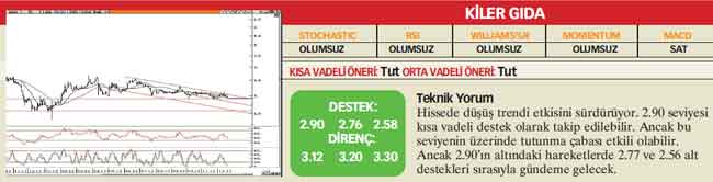 22 hisselik teknik analiz