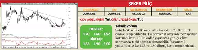 22 hisselik teknik analiz