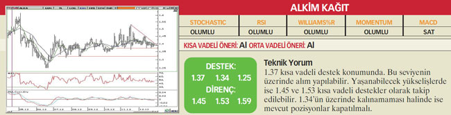 22 hisselik teknik analiz