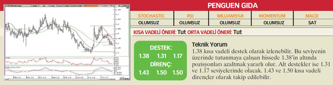 22 hisselik teknik analiz