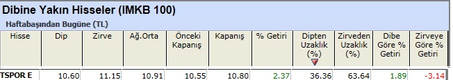 Dibine yakın hisseler 04-01-2013