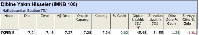Dibine yakın hisseler 04-01-2013