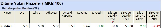 Dibine yakın hisseler 04-01-2013