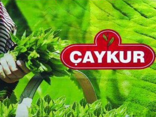 Devlet Baba'dan, evlatlarına 353 milyar
