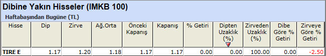Dibine yakın hisseler 25-01-2013