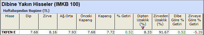 Dibine yakın hisseler 25-01-2013
