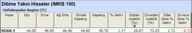 Dibine yakın hisseler 25-01-2013