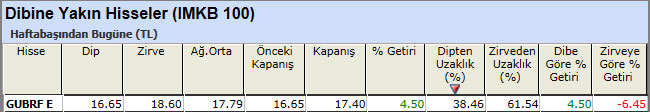 Dibine yakın hisseler 25-01-2013