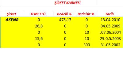 343 hissenin temettü performansı