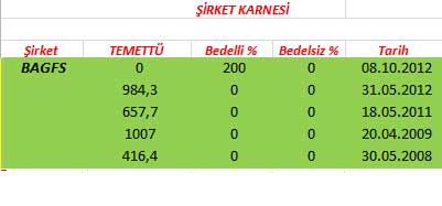 343 hissenin temettü performansı