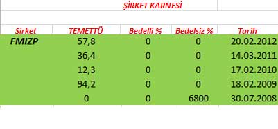343 hissenin temettü performansı