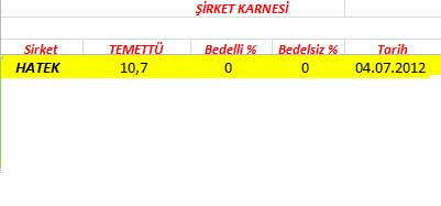 343 hissenin temettü performansı