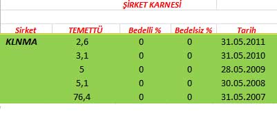 343 hissenin temettü performansı