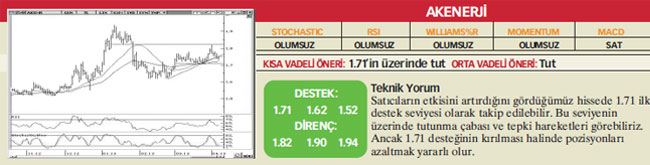 17 hisselik teknik analiz