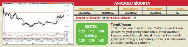 17 hisselik teknik analiz