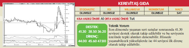 17 hisselik teknik analiz