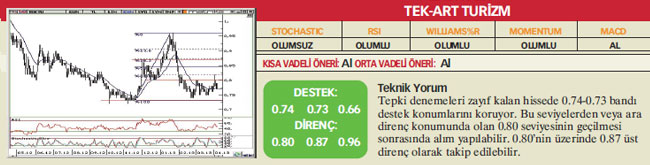 17 hisselik teknik analiz