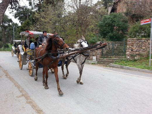 Nerede kalinir ne yapilir nasil gidilir