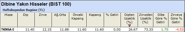 Dibine yakın hisseler 12-04-2013