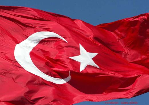 Ülkelerin 2013 yılı toplam altın rezervleri