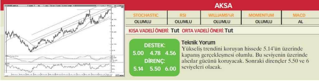 17 hisselik teknik analiz