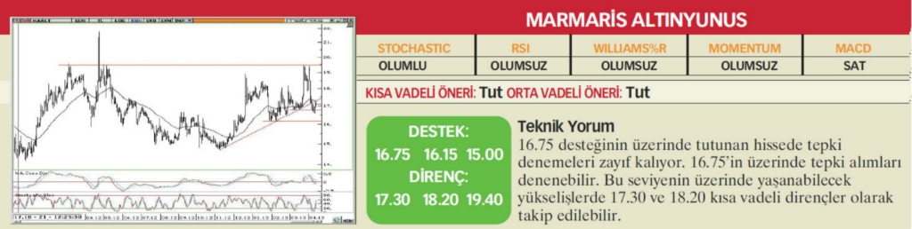 17 hisselik teknik analiz