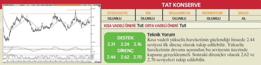 17 hisselik teknik analiz