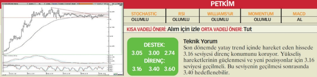 17 hisselik teknik analiz