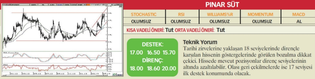 17 hisselik teknik analiz