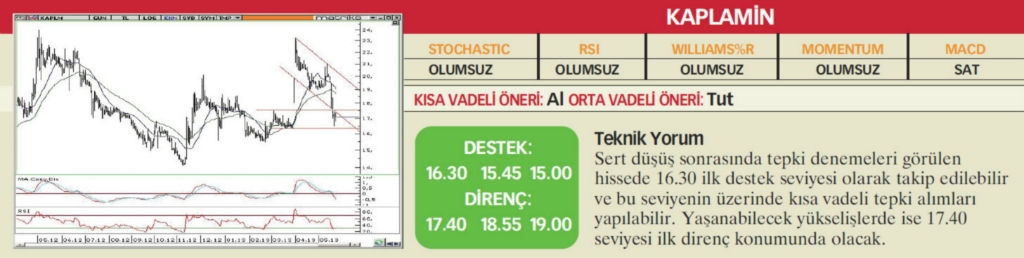 22 hisselik teknik analiz