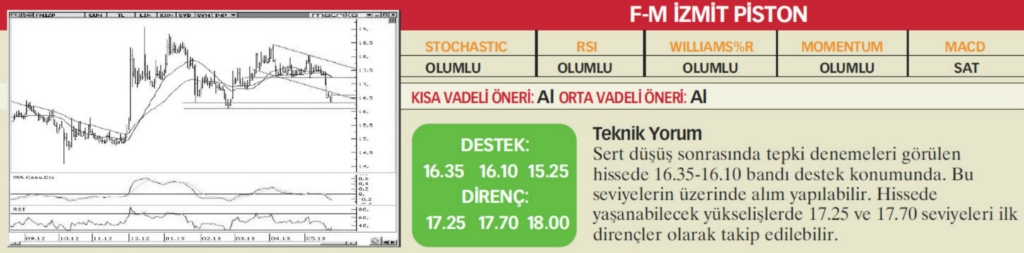 22 hisselik teknik analiz