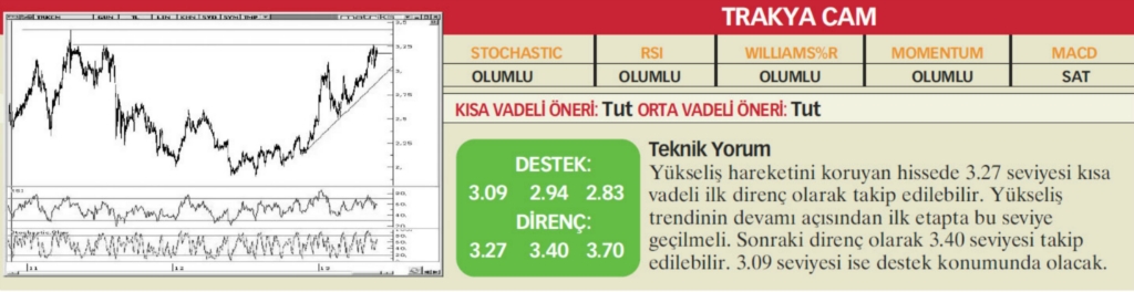 22 hisselik teknik analiz