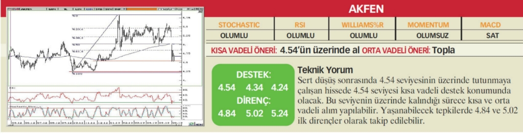 22 hisselik teknik analiz