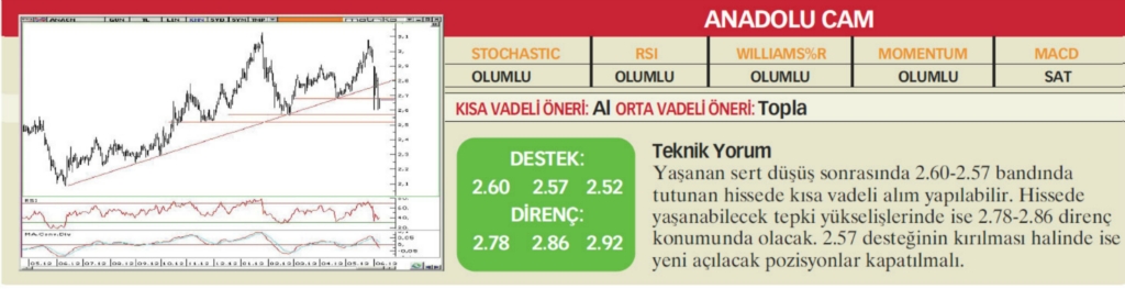 22 hisselik teknik analiz