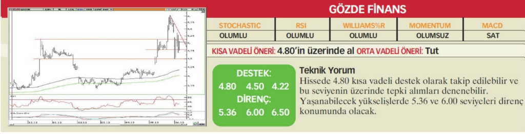 22 hisselik teknik analiz