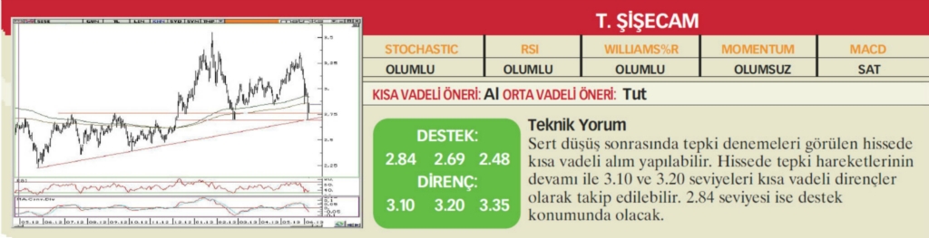 22 hisselik teknik analiz