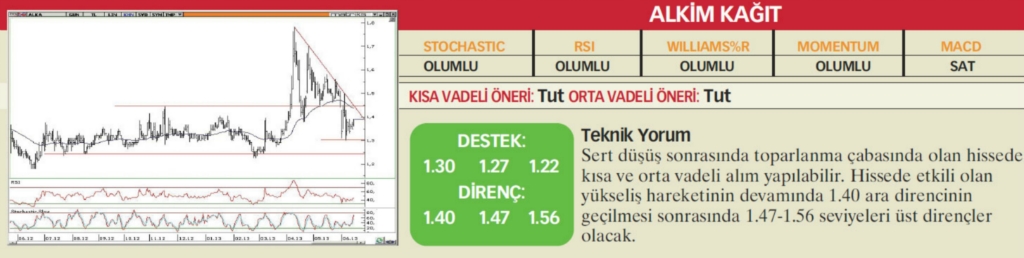 22 hisselik teknik analiz