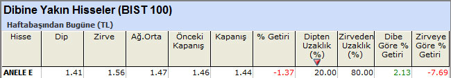 Dibine yakın hisseler 01-07-2013