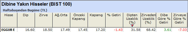 Dibine yakın hisseler 01-07-2013