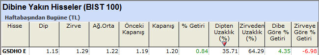 Dibine yakın hisseler 01-07-2013