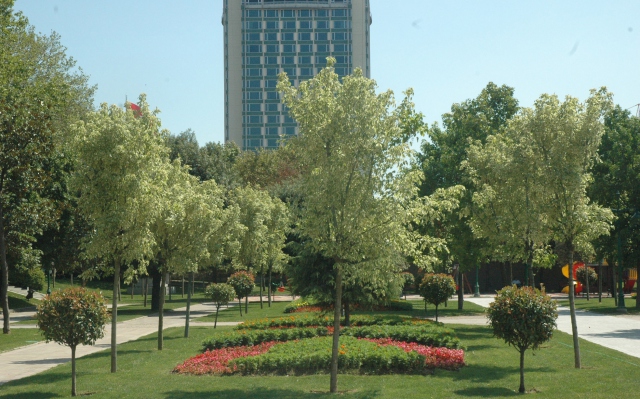 Gezi Parkı'nın Yeni Hali