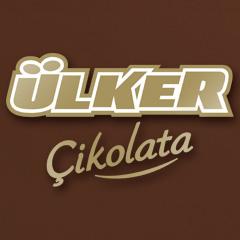 Türkiye'nin dev sanayi şirketler