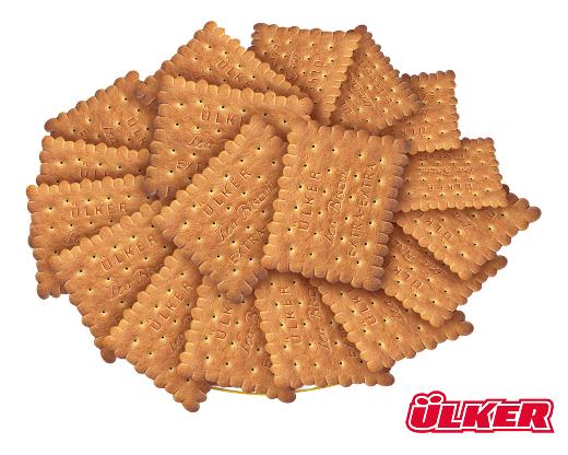 Türkiye'nin en büyük 500 özel şirketi