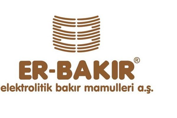 Türkiye'nin en büyük 50 şirketi
